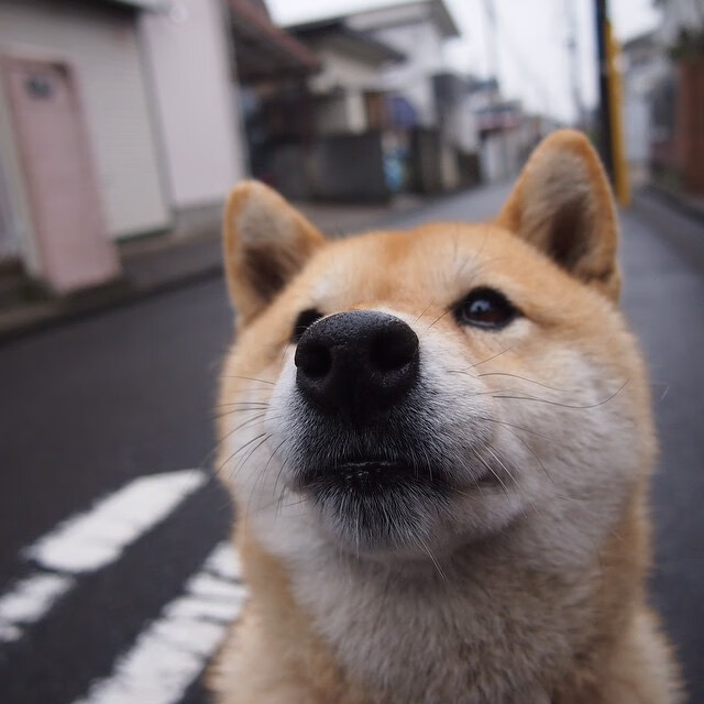 kaiyun体育app-赛季终极对决：冠军争夺战全景回顾，终极对抗赛