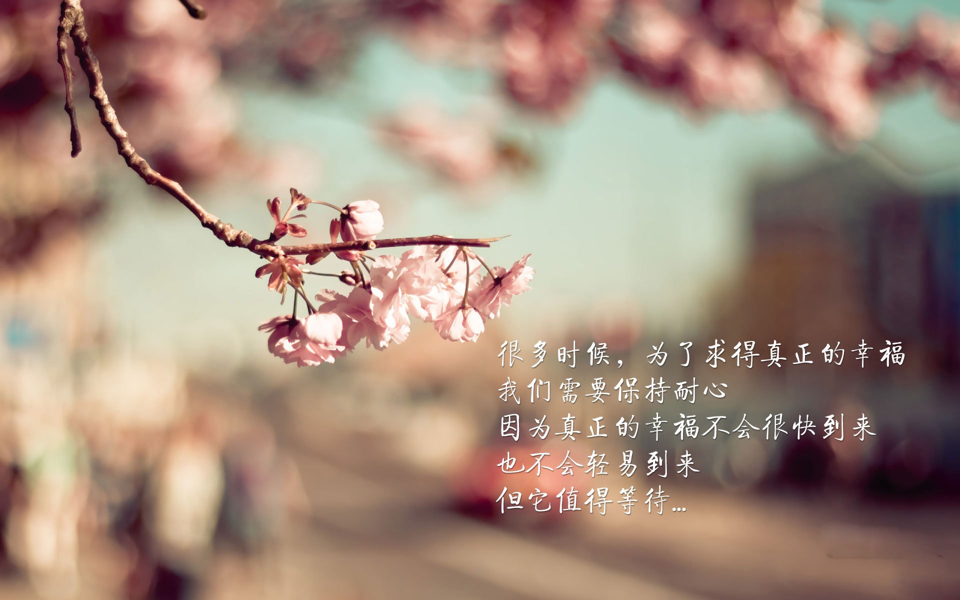 开云·体育官网APP下载-青少年体育社交行为与心理健康关系,青少年健康素养与体育行为的关系研究