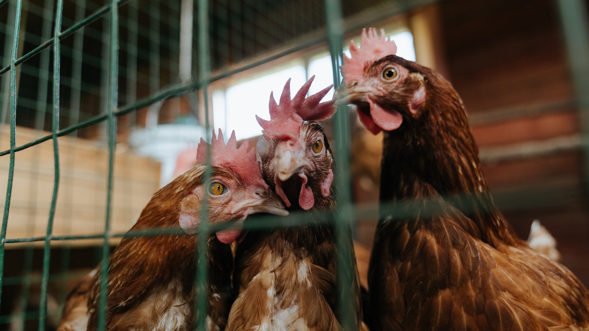 kaiyun官方入口登录-高校体育课程质量保障体系构建与实践研究,全国高校体育课程指导纲要