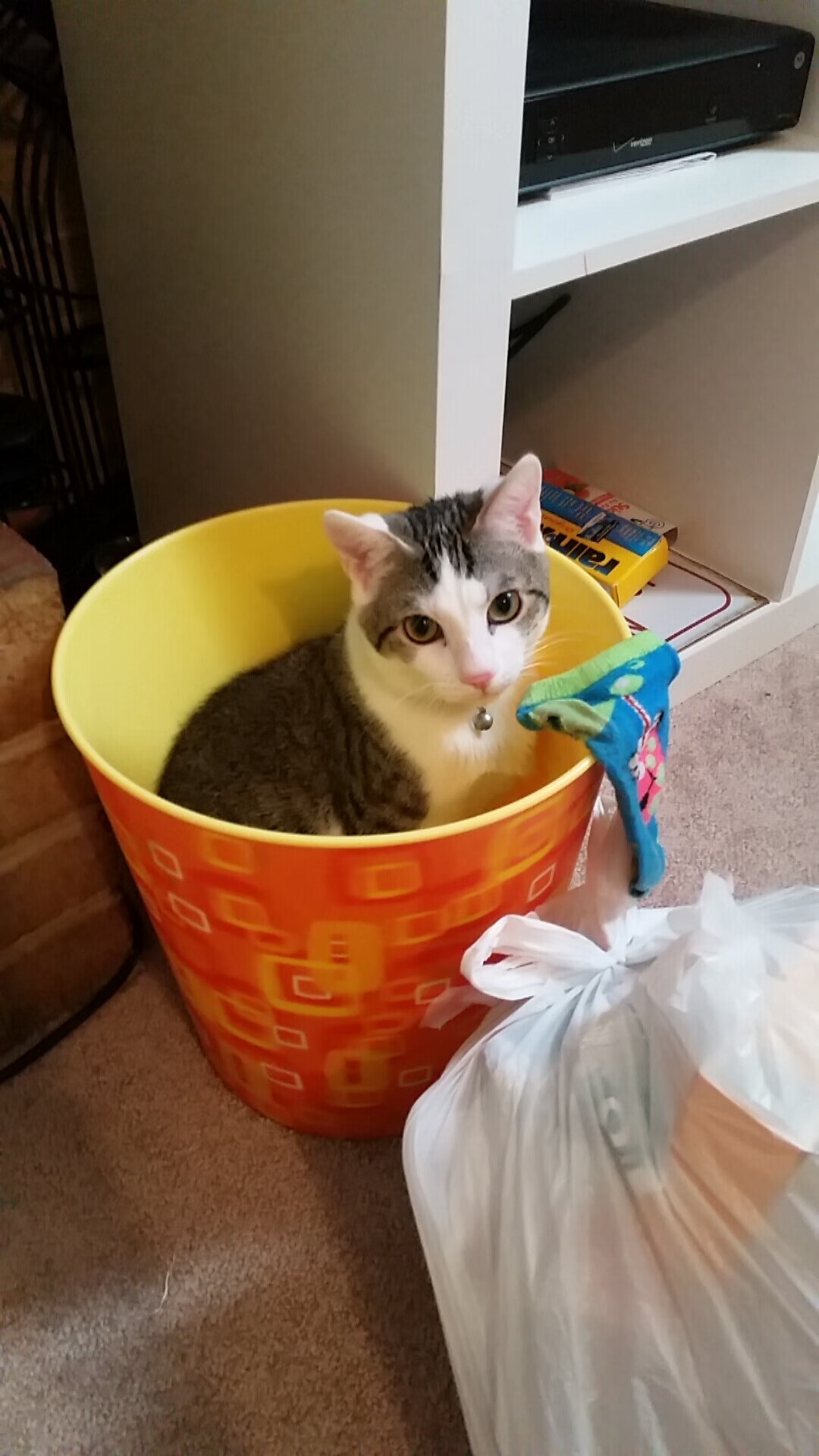 开云中国-中国女篮全队积极备战国际比赛,中国女篮虽败犹荣