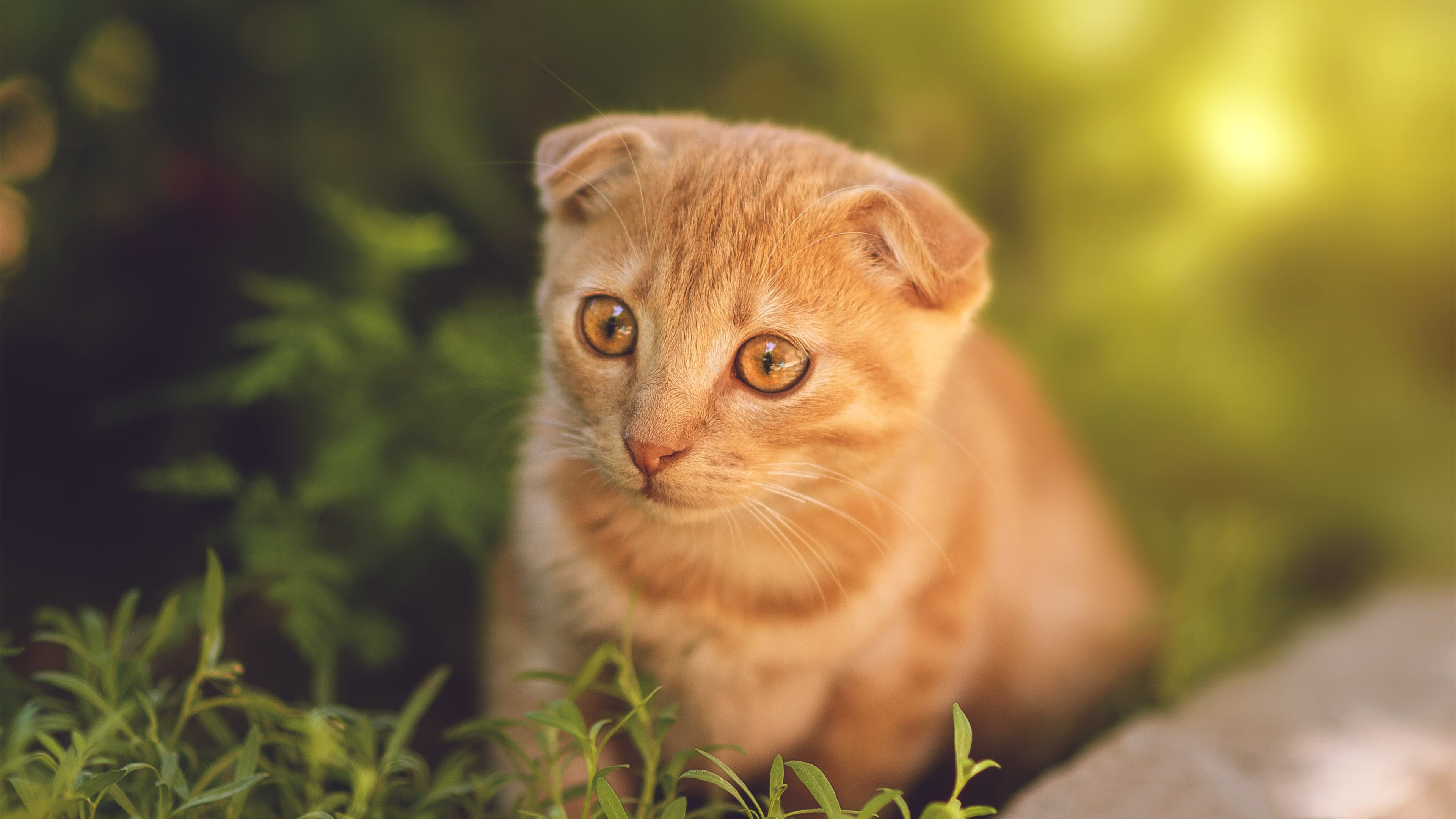 开云官方网站-中国女篮比赛中多点开花 进攻火力十足，中国女篮打球