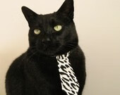 kaiyun体育app-中国男篮保持高频次热身计划,中国男篮保持高频次热身计划视频