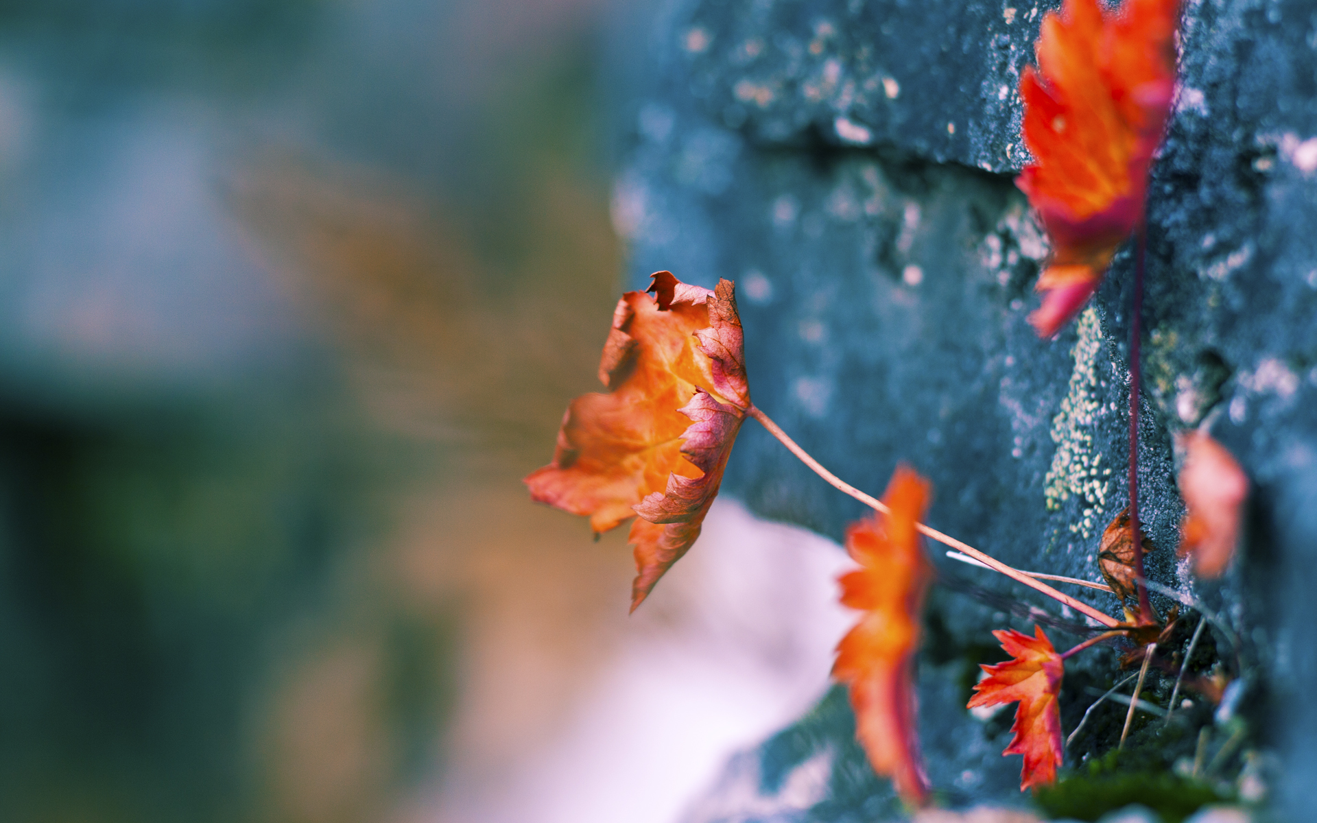 开云·Kaiyun网页版-中超联赛国家队爆冷 战术执行引争议,中超联赛报道