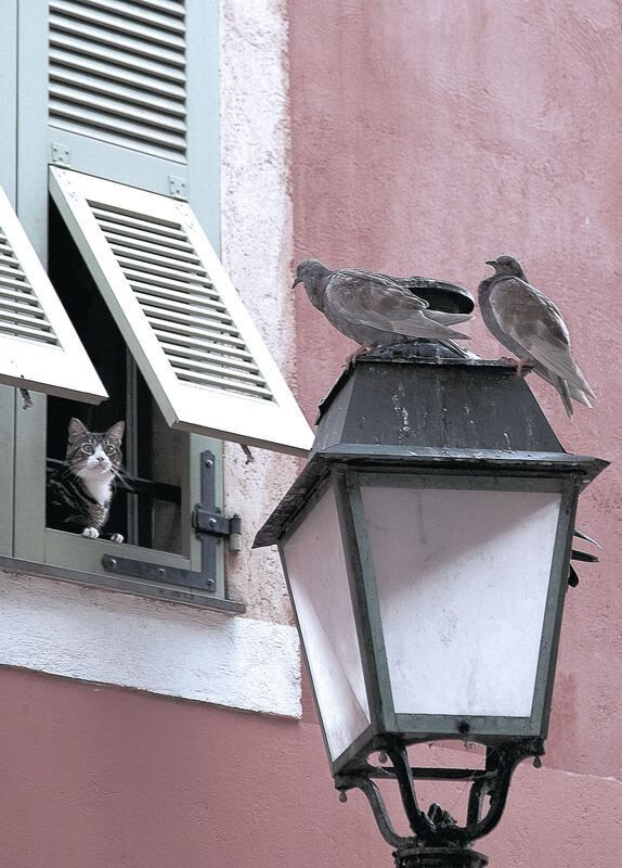 kaiyun.com-五大联赛年轻球员异军突起的趋势分析，五大联赛年轻门将