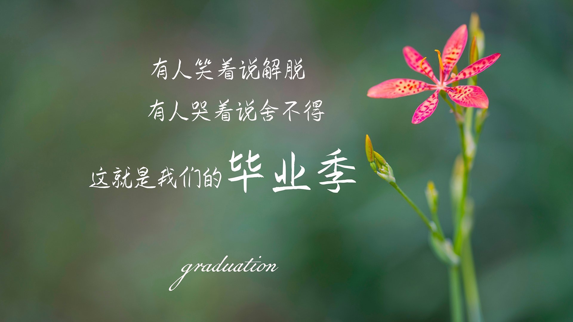 Kaiyun APP-广东队反击速度快形成有效压制,广东队防守战术