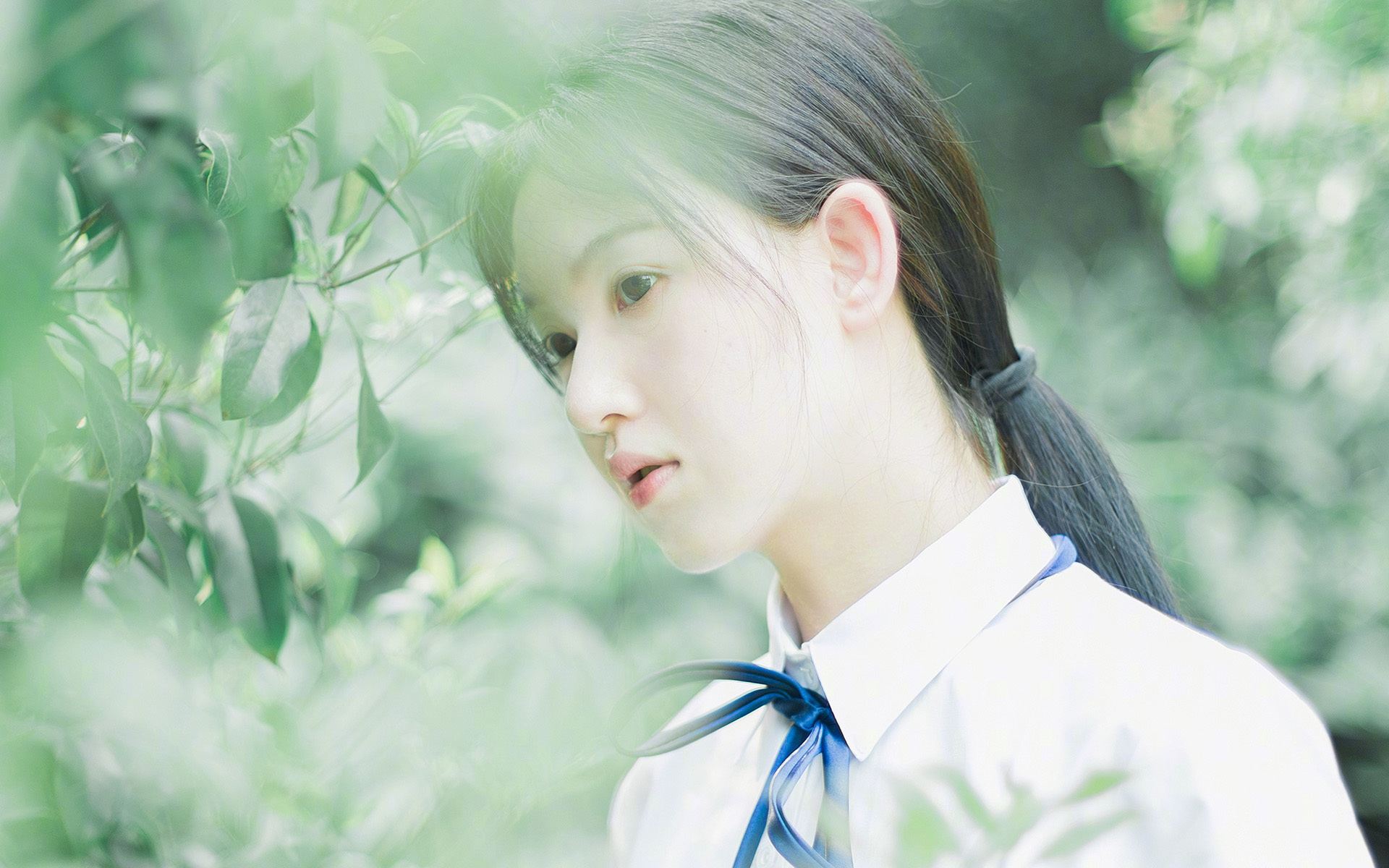 开云·Kaiyun网页版-数据揭示：德选手蝶泳稳定性更高，蝶泳金牌视频