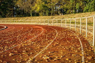 开云体育APP下载-职业体育的商业化是否侵蚀竞技精神,体育商业化的定义