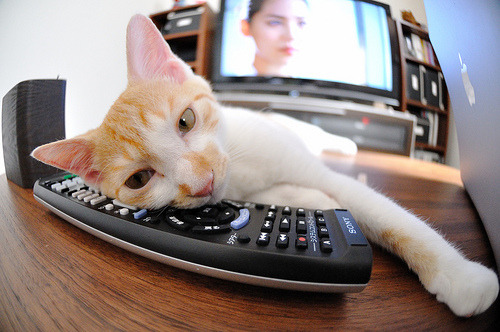 开云kaiyun-辽宁飞豹提升快攻效率增加得分手段多样性,辽宁飞豹新logo