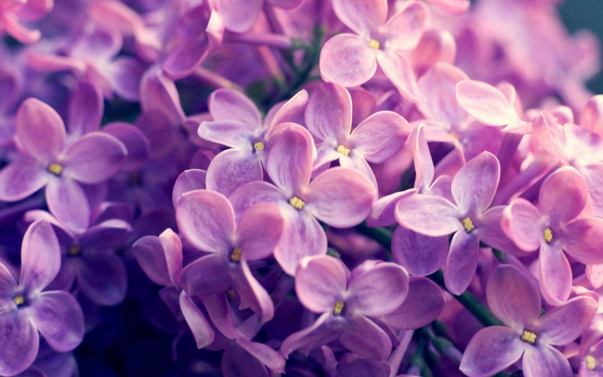 kaiyun官方网站-丁俊晖透露赛前习惯用轻音乐舒缓情绪,丁俊晖出场音乐