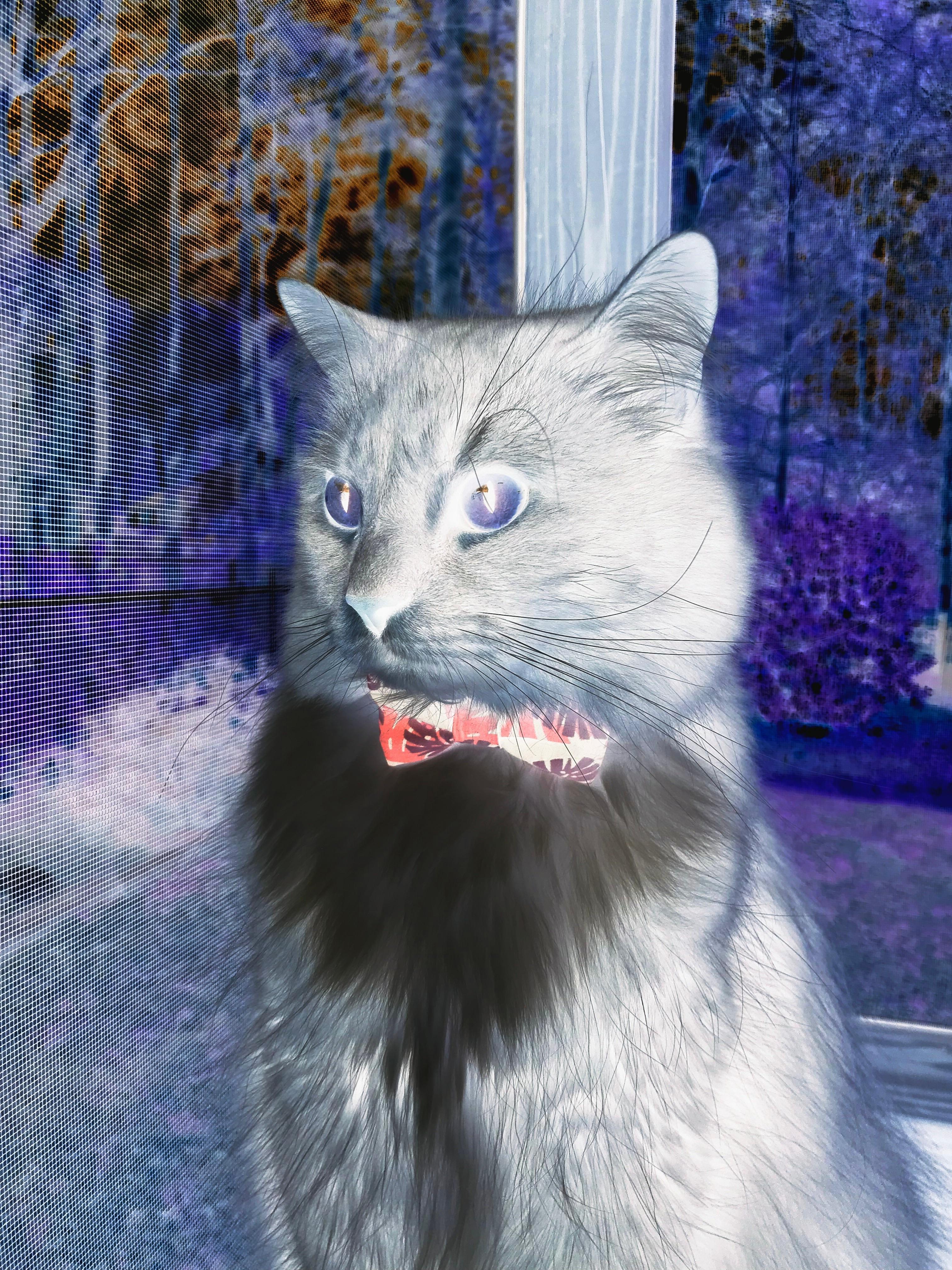 开云网站-布克单场五十加太阳再度问鼎榜首,布克单场72分