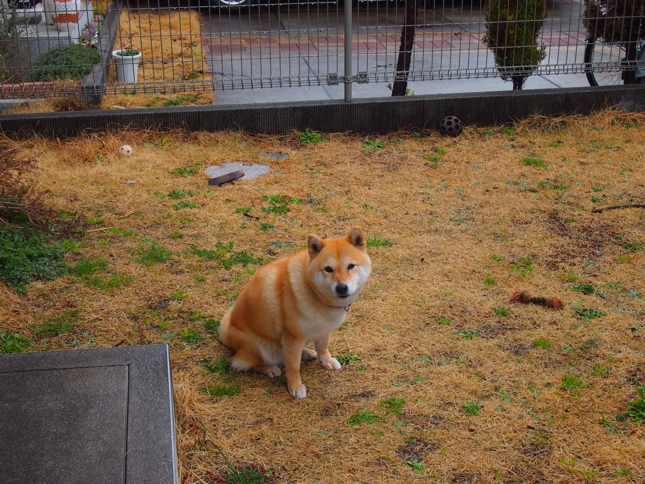 kaiyun.com-法甲精彩瞬间:技战术的极佳演绎,法甲实力分析