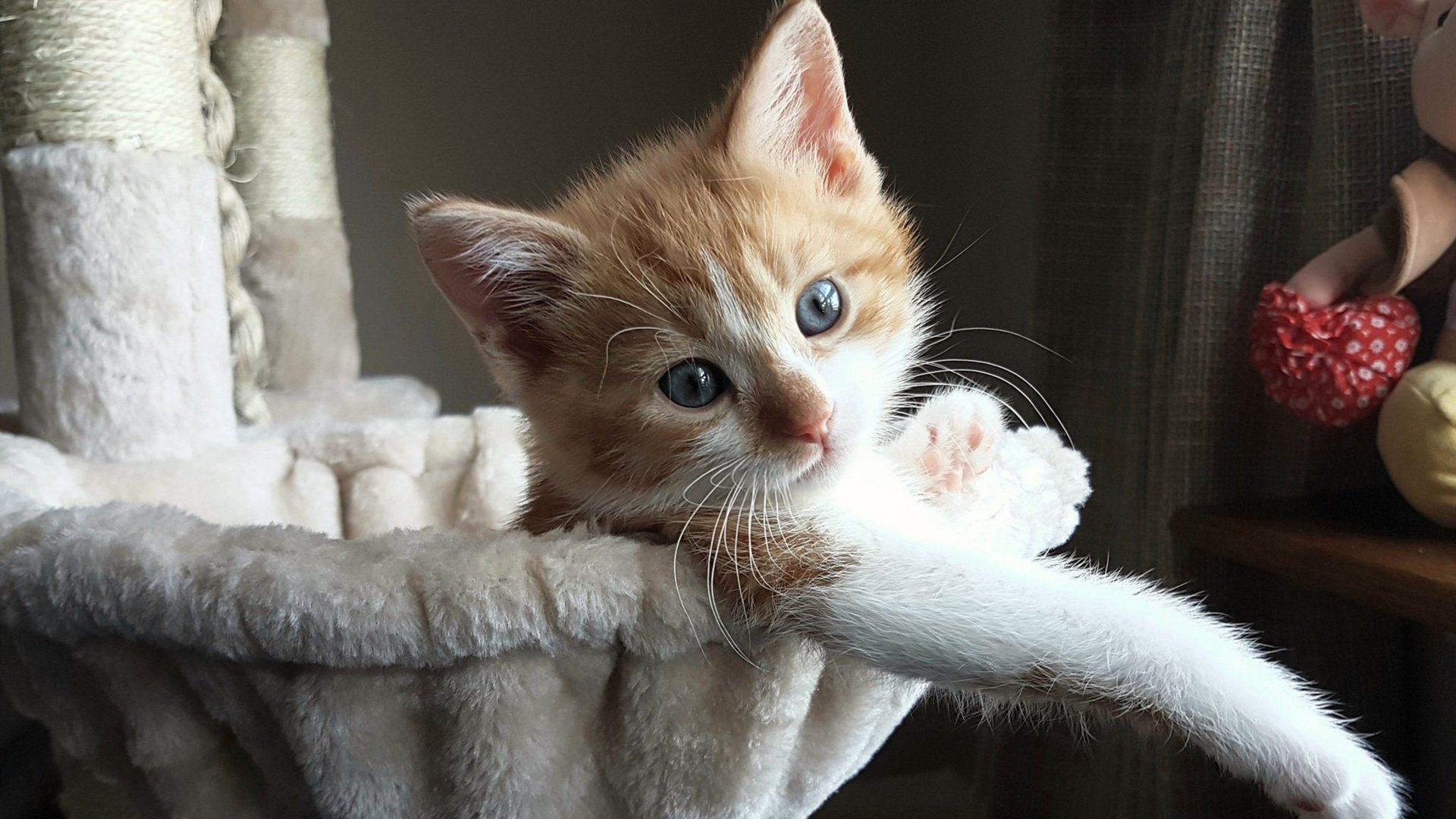 kaiyun官方网站-球队海外训练营回访,适应性训练成果明显,海外训练是什么意思